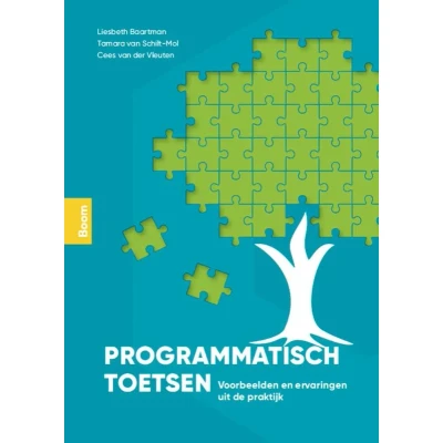 Afbeelding van Programmatisch toetsen in de praktijk