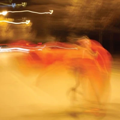 Afbeelding van William Basinski A Shadow In Time (CD)