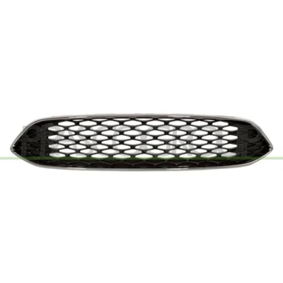 Afbeelding van Radiateurgrille PRASCO FD4302011