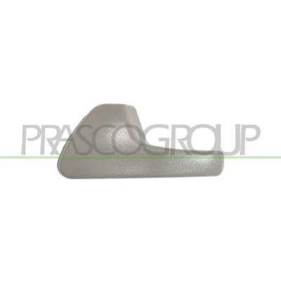 Afbeelding van Handgreep, interieur PRASCO VG0328808