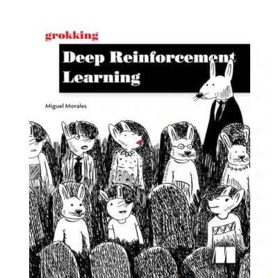 Afbeelding van Grokking Deep Reinforcement Learning