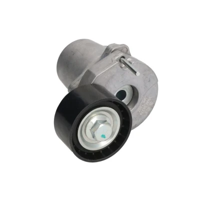 Afbeelding van Spanrol, Poly V riem SKF VKM 38339