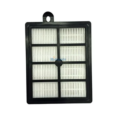 Afbeelding van HEPA filter voor AEG stofzuiger Silent Performer Cyclonic ASPC7110 / ASPC7120 ASPC7140 ASPC7150 ... Als alternatief AFS1W Allergy Plus van Microsafe®