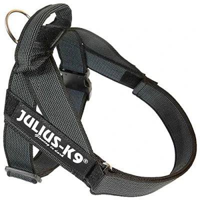 Afbeelding van Julius K9, Color &amp; Gray, gordelbandservies, 3, zwart grijs