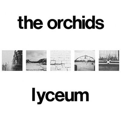 Afbeelding van Orchids Lyceum (LP)