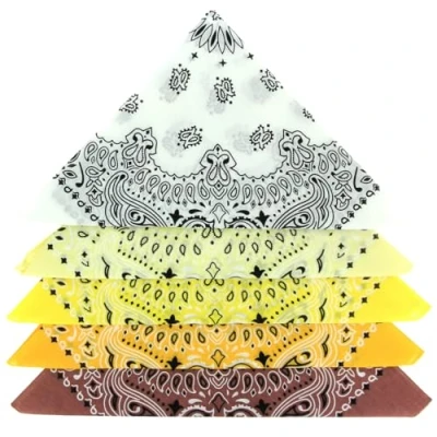 Afbeelding van BANDANA Stuks Paisley Motief 100% Katoen Superieure Dikte 20 Exclusieve Kleuren