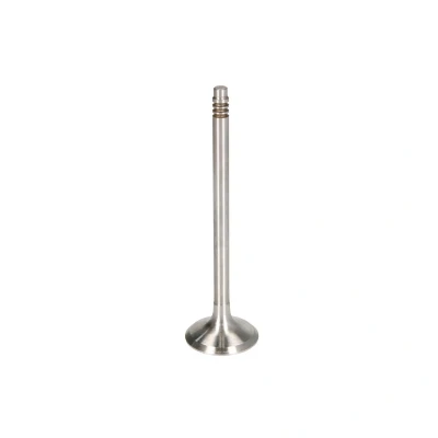 Afbeelding van Uitlaatklep FRECCIA R6949/BM