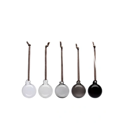 Afbeelding van Iittala Glazen hanger set van 5 Multicolor
