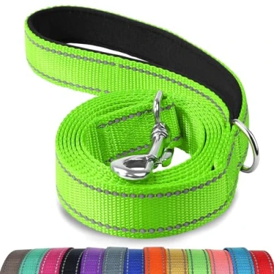 Afbeelding van Joytale Hondenriem met gevoerd handvat, dubbelzijdige reflecterende nylon hondenlijnen voor training, wandelriem kleine, middelgrote honden, 1,8 m x 2 cm, groen
