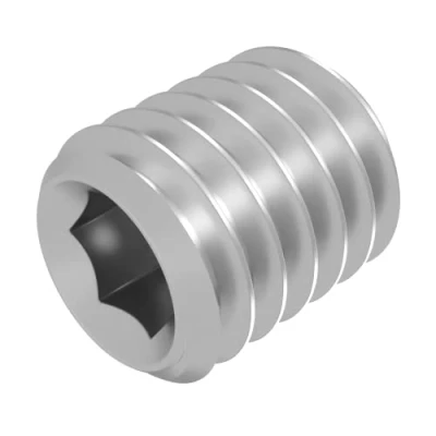 Afbeelding van SECCARO stelschroef met conische punt M6 x 8 mm, RVS V2A VA A2, DIN 913 / ISO 4026, binnenzeskant, 20 stuks