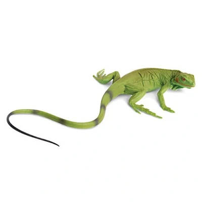 Afbeelding van Toob S258329 Safari Incredible Creatures Iguana Baby Miniatuur (meerkleurig)