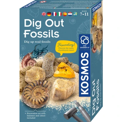 Afbeelding van MBE Dig Out Fossils INT: Experimentierkasten