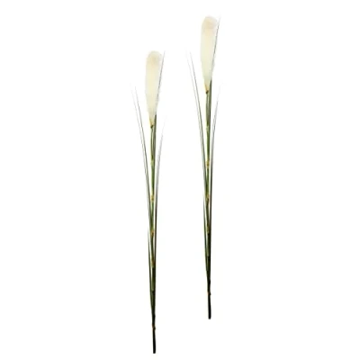 Afbeelding van I.GE.A. Kunstplant PAMPAS (2 stuks)