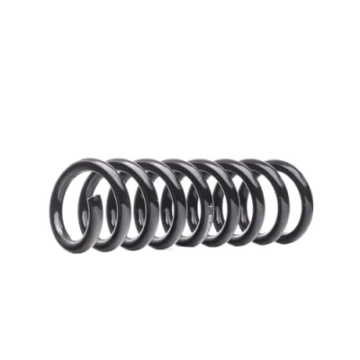 Afbeelding van Chassisveer BILSTEIN 36 266128