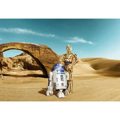 Afbeelding van Komar Fotobehang Star Wars Lost Droids 368x254 cm (breedte x hoogte), inclusief pasta (set)