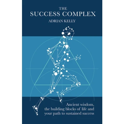 Afbeelding van The Success Complex