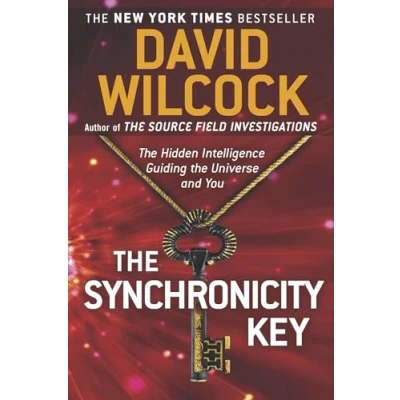Afbeelding van the Synchronicity Key: Hidden Intelligence Guiding Universe and You