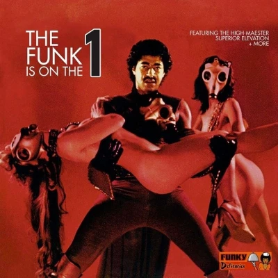 Afbeelding van V/A the Funk is On One (LP)