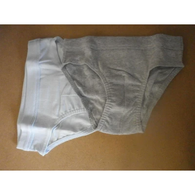 Afbeelding van Petit Bateau 2 Pack Onderbroek Slip jongens Blauw , grijst 4jaar 102