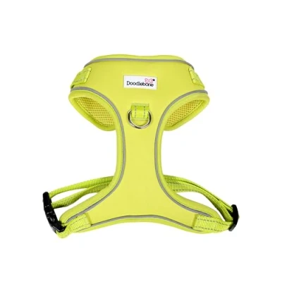 Afbeelding van Verstelbare Airmesh, Citrus, 1 2