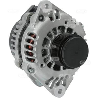 Afbeelding van Dynamo / Alternator HC CARGO 114665
