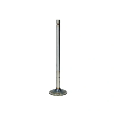 Afbeelding van TRW Engine Component Inlaatklep 48319
