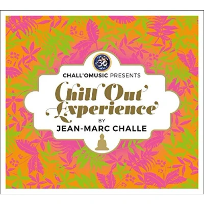 Afbeelding van Various Artists Chill Out Experience By Challe (2 CD)