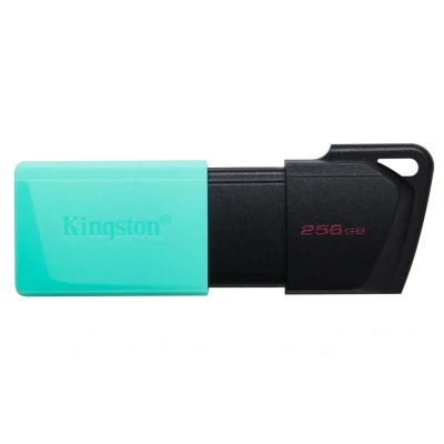 Afbeelding van Kingston DataTraveler Exodia M 256GB USB C 3.2 Gen 1