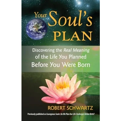 Afbeelding van Your Soul&#039;s Plan: Discovering the Real Meaning of Life You Planned Before Were Born