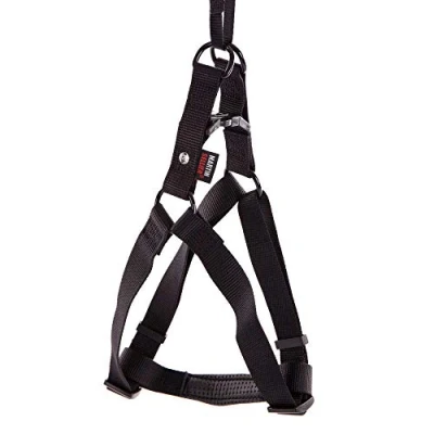 Afbeelding van Martin Instap Tuig Nylon Zwart 20 MMX50 70 CM (366374)
