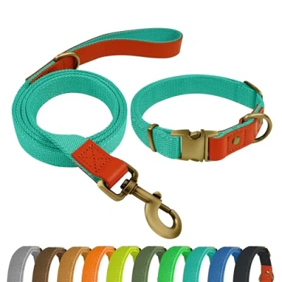 Afbeelding van Qianruida hondenhalsband en riem, set voor honden, halsband verstelbare kleine, middelgrote grote cyaan, XL