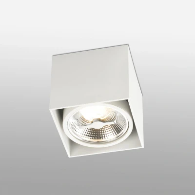 Afbeelding van Faro Lighting Tecto 1 Light Square Surface Mounted Downlight Wit