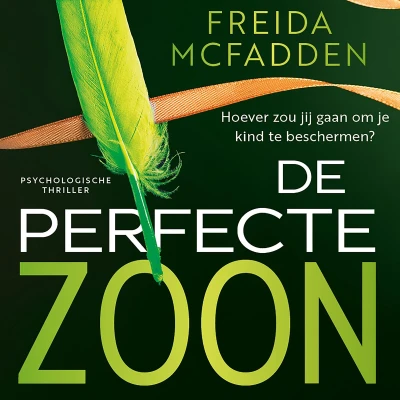 Afbeelding van De perfecte zoon