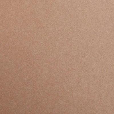 Afbeelding van Clairefontaine 97374C verpakking met 25 vellen tekenpapier Maya, DIN A4, 21 x 29,7 cm, 120 g, glad, ideaal voor droogtechniek en inlijsting), bruin