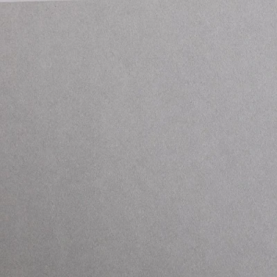 Afbeelding van Clairefontaine 97362C verpakking met 25 vellen tekenpapier Maya, DIN A4, 21 x 29,7 cm, 120 g, glad, ideaal voor droogtechniek en inlijsting), grijs