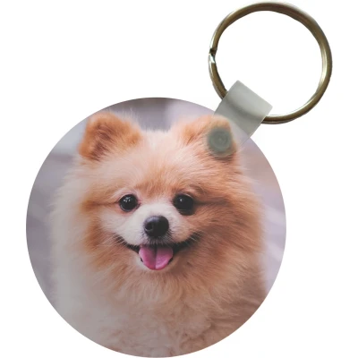 Afbeelding van Sleutelhanger Pomeriaan op straat Plastic Rond Uitdeelcadeautjes