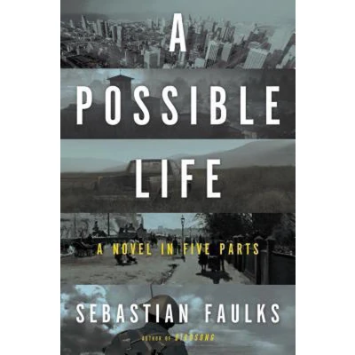 Afbeelding van A Possible Life