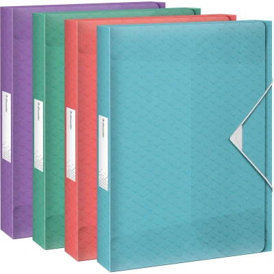 Afbeelding van Esselte A4 Documentenbox, Capaciteit van 200 Vel Papier, Rugbreedte 25 Millimeter, Organiser Voor Documenten, Thuis en op Kantoor, Reliëfpatroon, Colour&#039;Breeze, Diverse Kleuren, 626261
