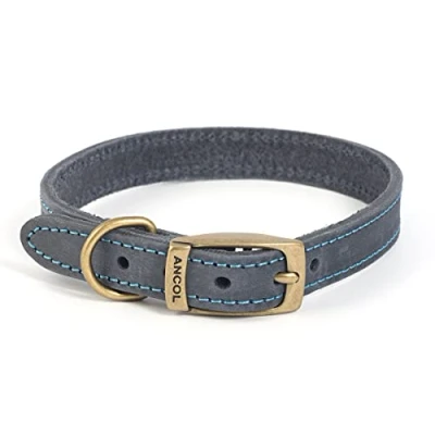 Afbeelding van Ancol Timberwolf lederen halsband blauw maat 2, om te passen nek 26 31 cm, kraagbreedte 1,6 cm