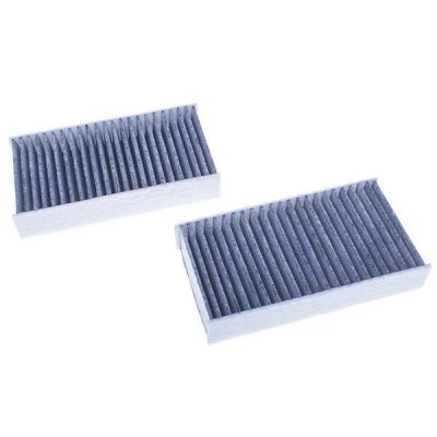 Afbeelding van DENCKERMANN M110879K Interieurfilter Carbon filter 164mm 90mm 30mm BMW: X3, X4