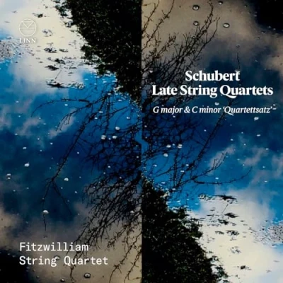 Afbeelding van Fitzwilliam String Quartet Schubert: Late Quartets; G Major &amp; C Minor (CD)