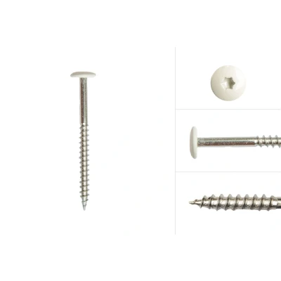 Afbeelding van Kleurkopschroeven Wit rvs 4.8 x 60 mm Doos 100 Stuks