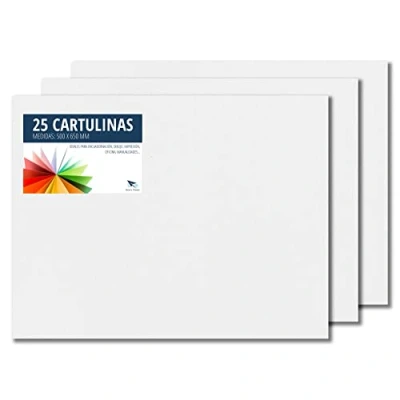 Afbeelding van Raylu Paper® 50 x 65 cm, 25 stuks, 180 g/m², ideaal voor knutselwerk, kantoor, tekenen, papyroflex (wit)