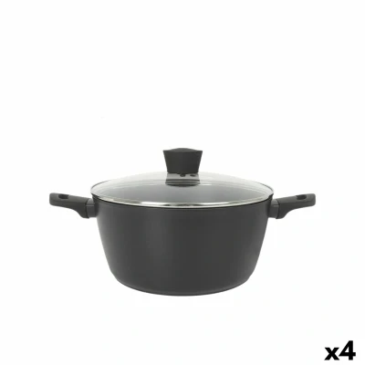 Afbeelding van Kookpot met Deksel MasterChef 28 cm (4 Stuks)