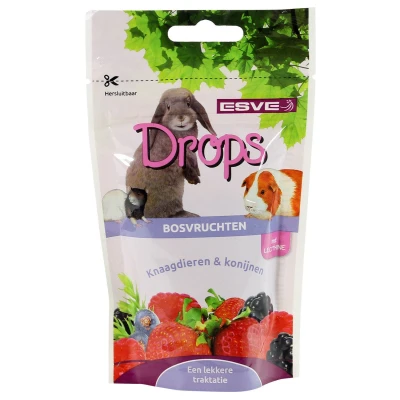 Afbeelding van Esve Knaagdier Drops Bosvruchten 75gr