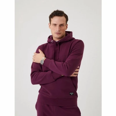 Afbeelding van Trui Bjorn Borg Centre Hoodie Grape Wine S
