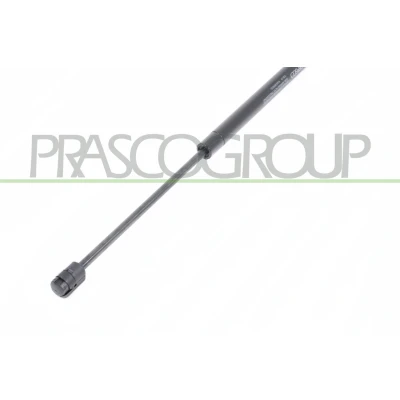 Afbeelding van Gasveer, kofferruimte PRASCO VG0369055