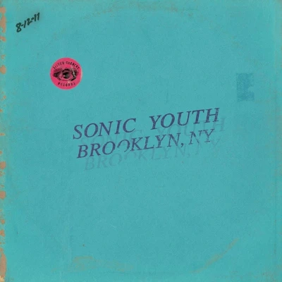 Afbeelding van Sonic Youth Live In Brooklyn 2011 (2 CD)