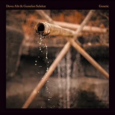 Afbeelding van Dewa Alit &amp; Gamelan Salu Genetic