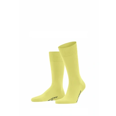 Afbeelding van FALKE Sokken Cool 24/7